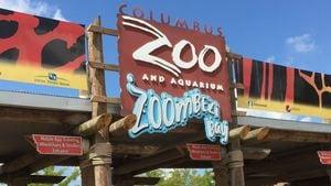 Columbus Zoo CEO pleads guilty