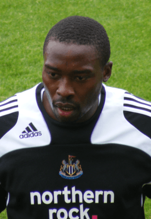 Shola Ameobi