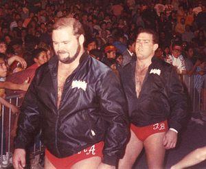 Arn Anderson