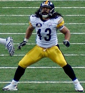 Troy Polamalu