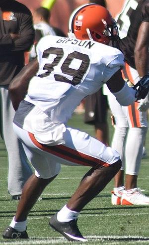 Tashaun Gipson