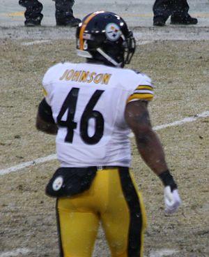 Will Johnson