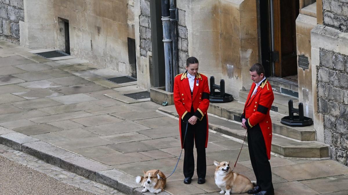 Duchess of York Celebrates Corgis on Dog Day