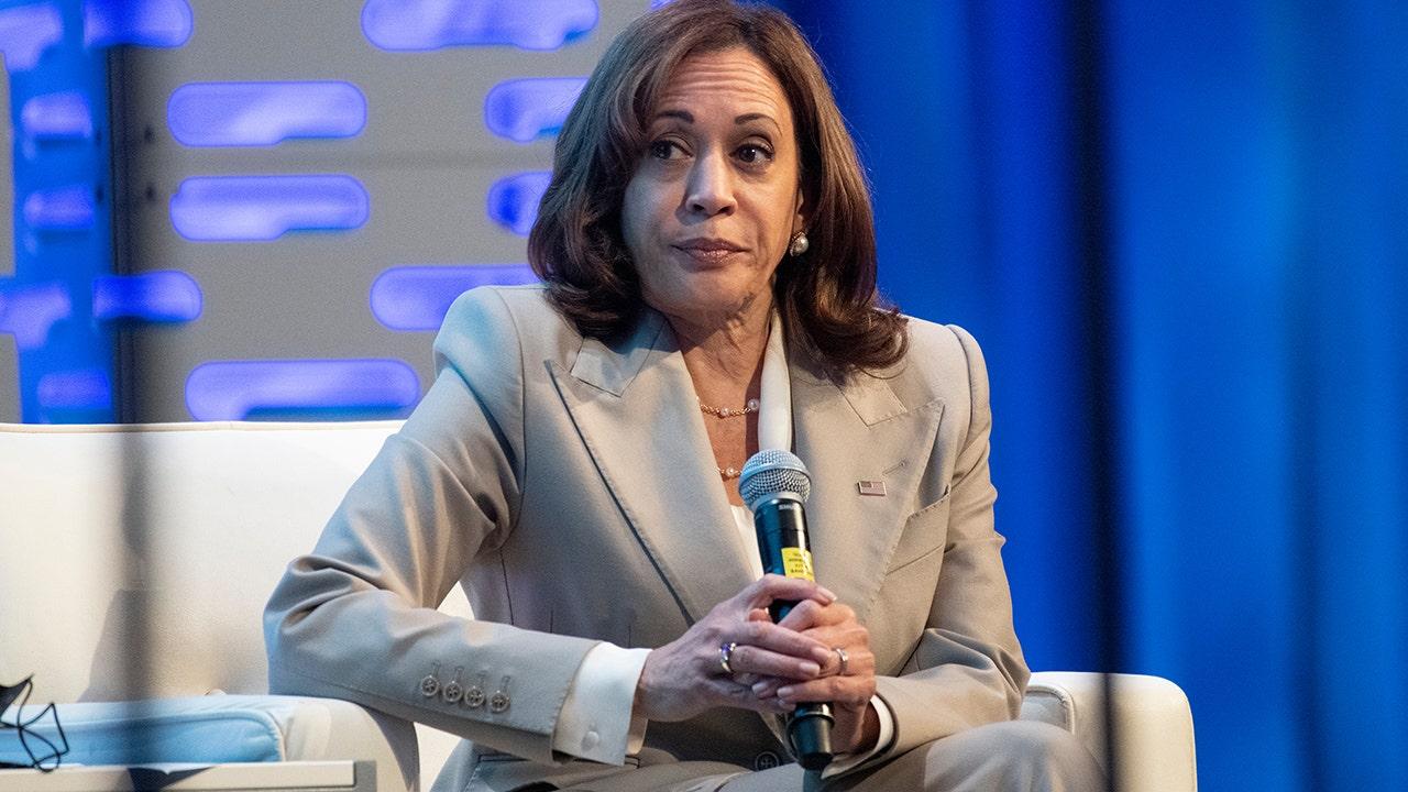 Kamala Harris Accepts Presidential Nomination at DNC