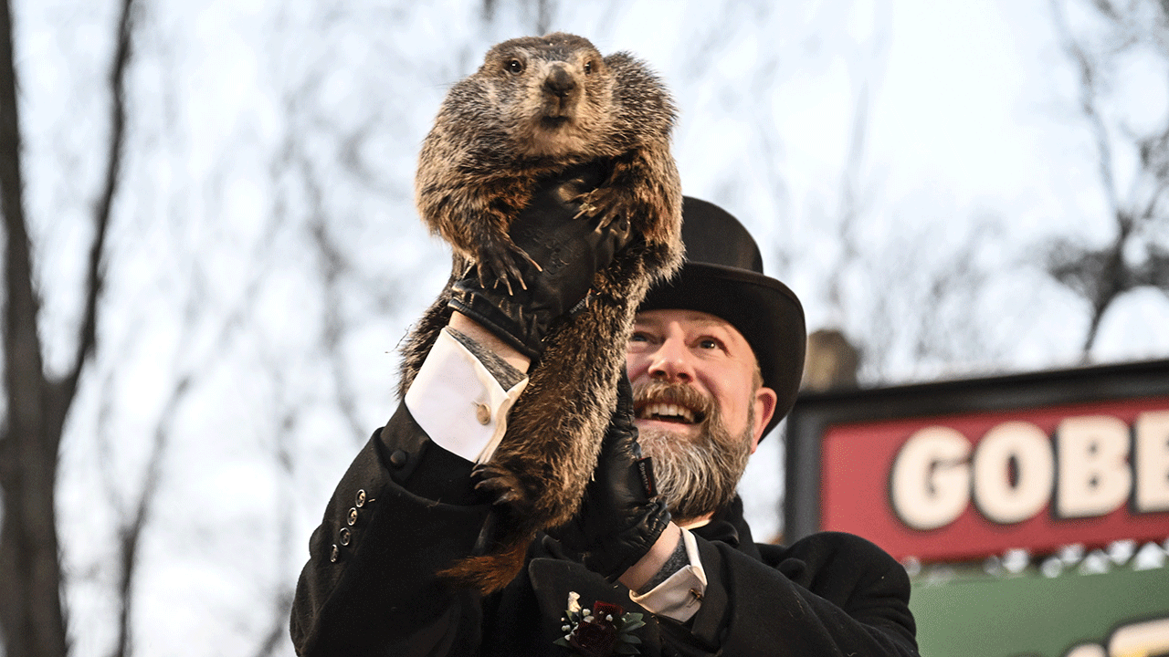 Groundhogs Predict Early Spring on Groundhog Day