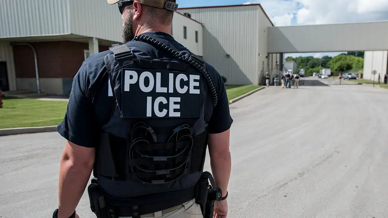 ICE Loses Track of 320,000 Migrant Children