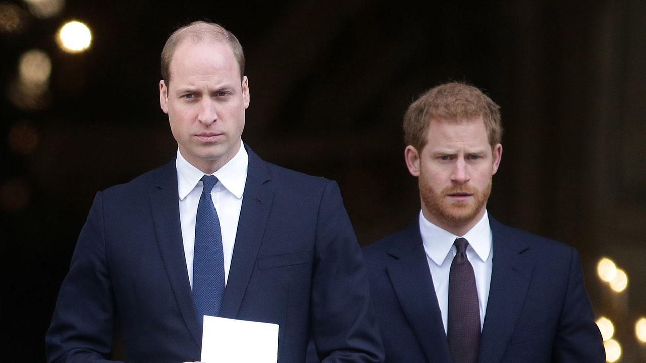 Royal Expert Discusses Prince William's Family Rift