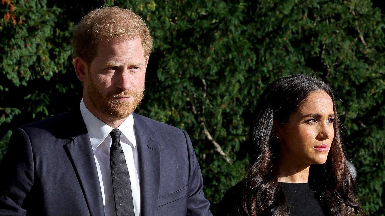 Meghan Markle and Prince Harry's Secret Nicknames Revealed