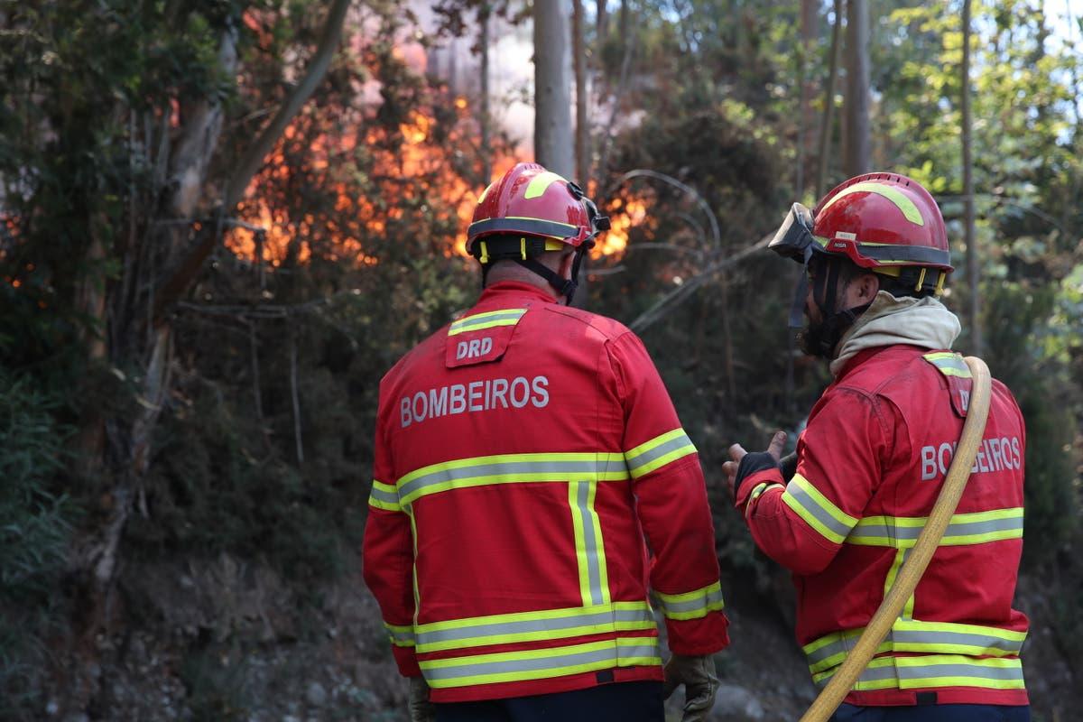 Flights Disrupted by Wildfires in Madeira