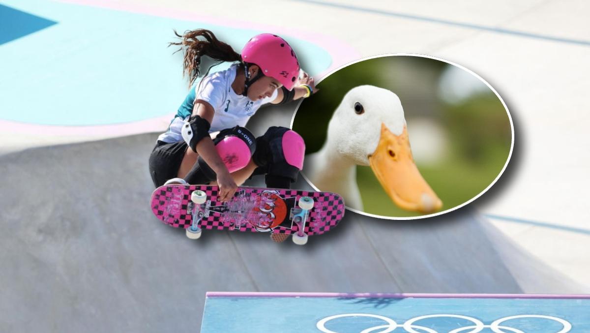 Skateboarder wants pet duck