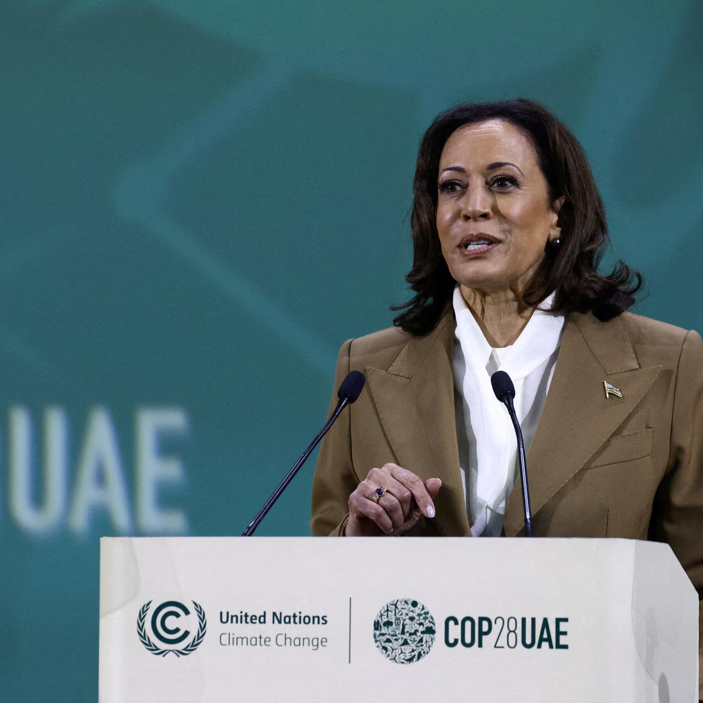 Harris Downplays Climate Policy at DNC