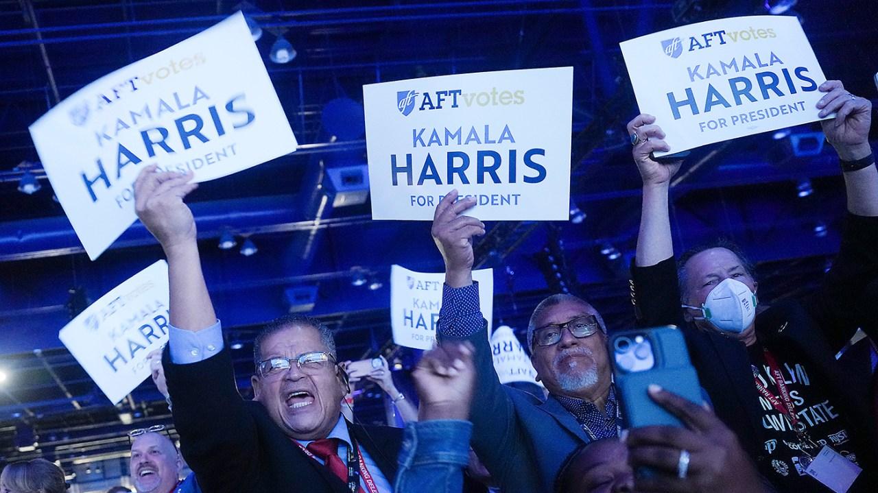 Democrats Concerned About Harris' Battleground Appeal