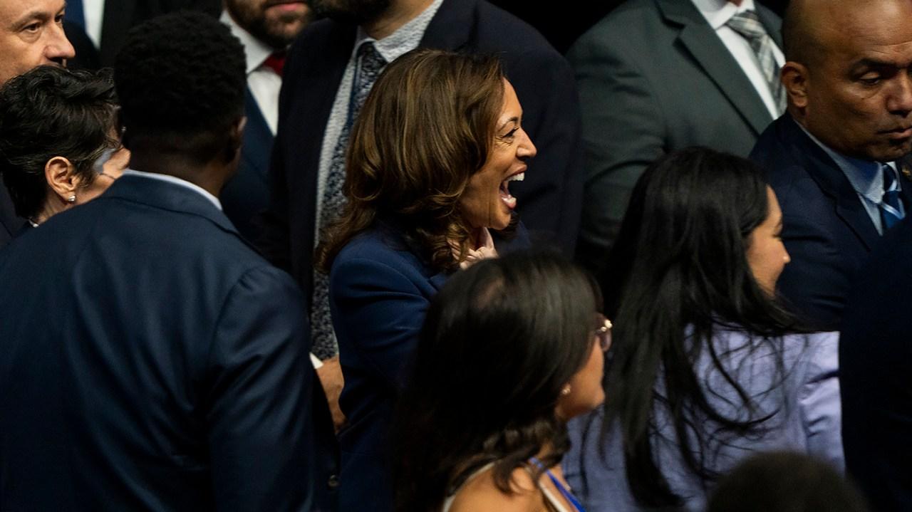 Washington Post Critiques Harris Economic Plan